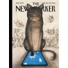 New Yorker