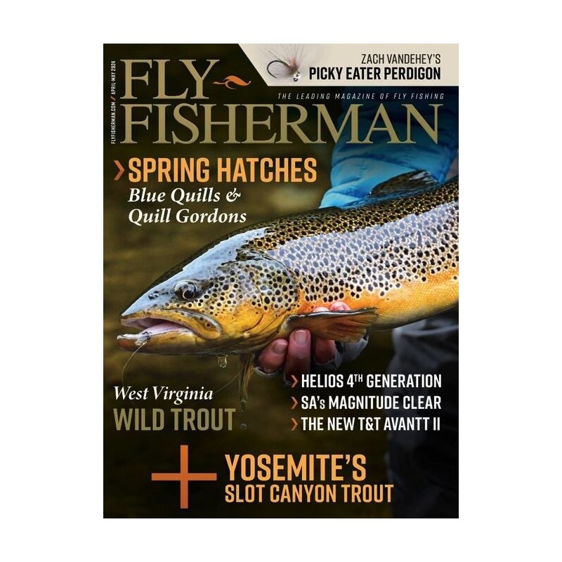 Fly Fisherman