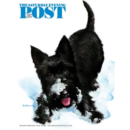 Saturday Evening Post