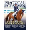 Practical Horseman