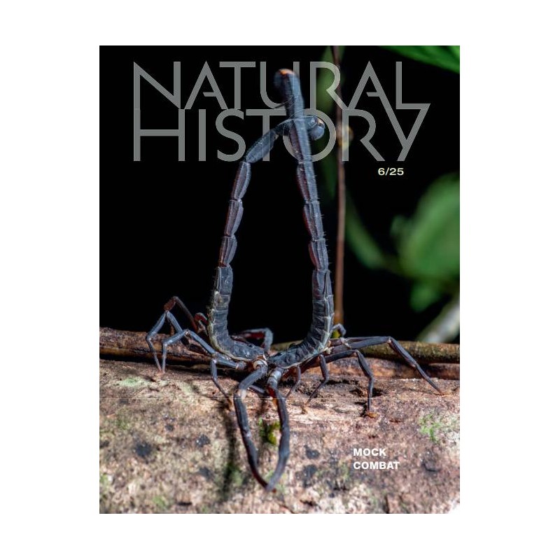 Natural History Magazine