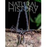 Natural History Magazine