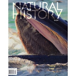 Natural History Magazine