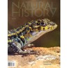 Natural History Magazine
