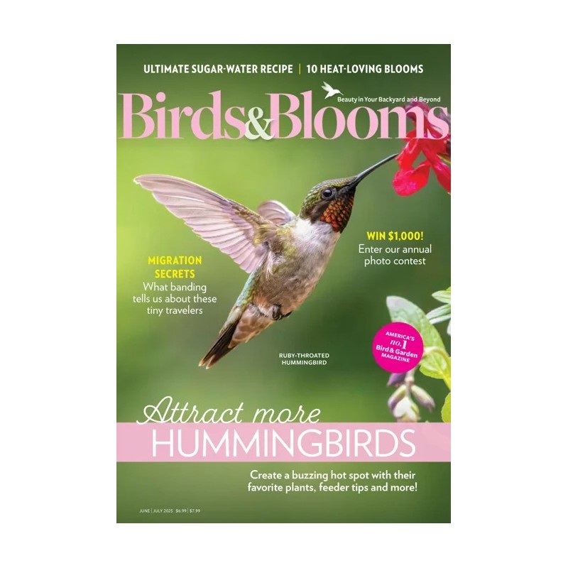 Birds & Blooms