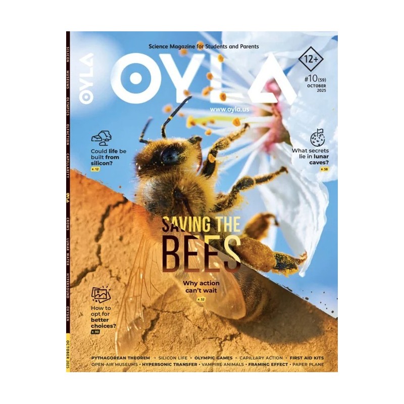 Oyla Magazine