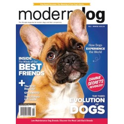 Modern Dog Magazine