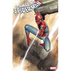 AMAZING SPIDER-MAN - Print Subscription