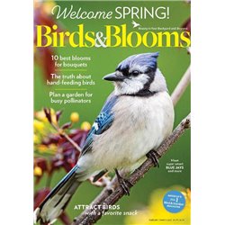 Birds & Blooms